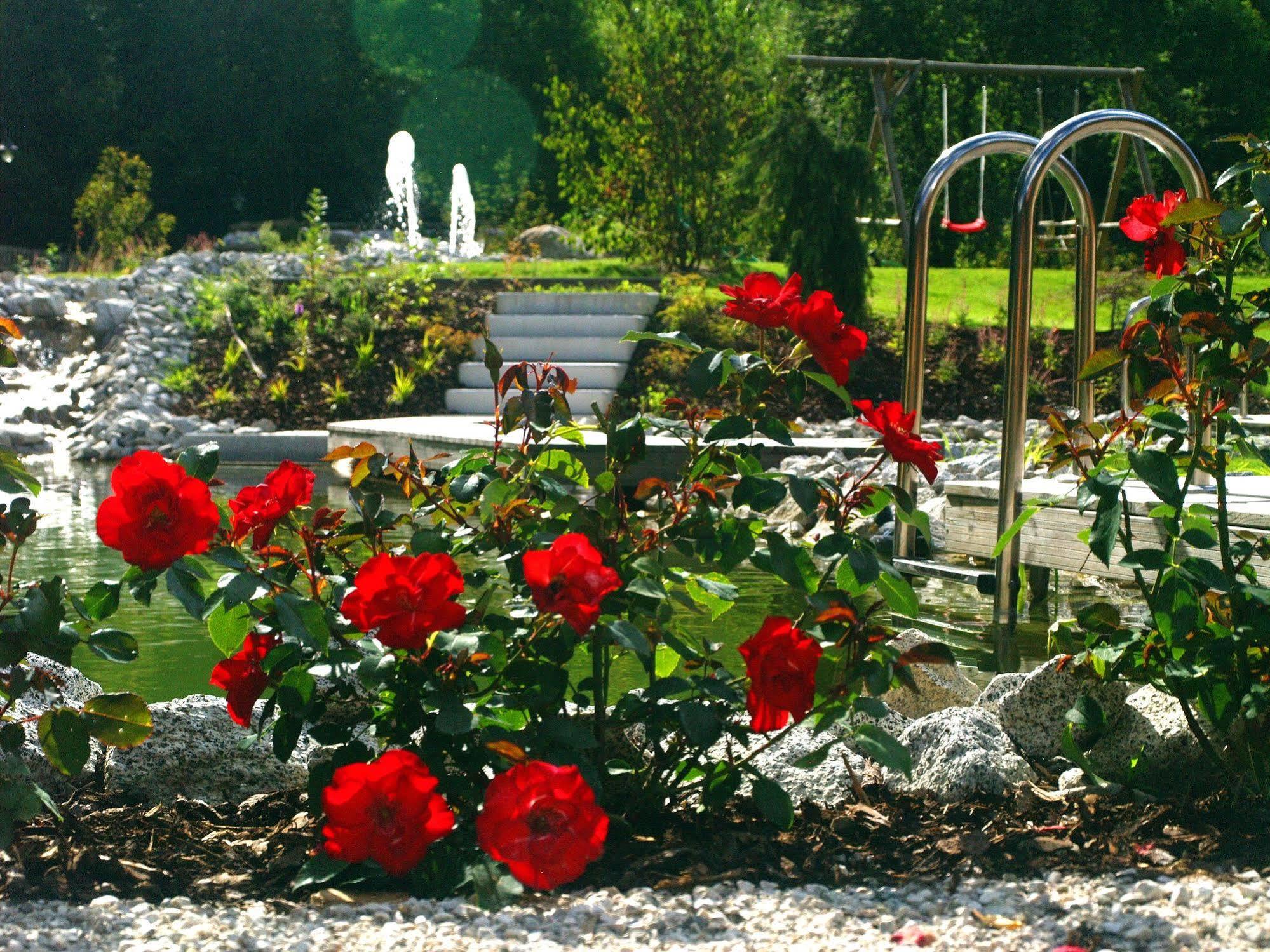 Hotel Burgfrieden Гайс Екстериор снимка